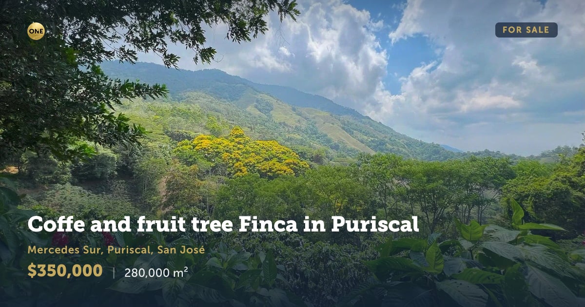 Terreno en venta en Puriscal, San José